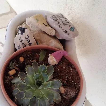 Depadansa Lisette 3* تْسْغيكفانِتْسا