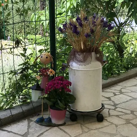 Depadansa Lisette 3* تْسْغيكفانِتْسا