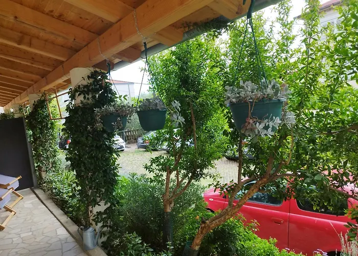 Depadansa Lisette ツリクヴェニツァ