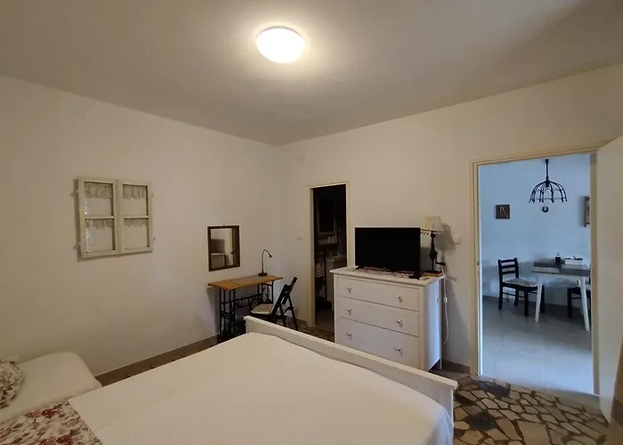 Depadansa Lisette ツリクヴェニツァ