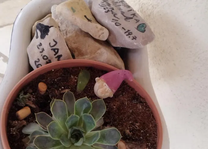 Depadansa Lisette 3* ツリクヴェニツァ