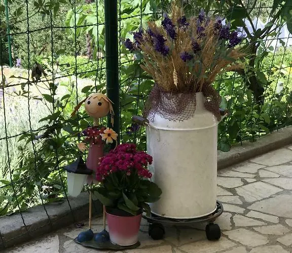 Depadansa Lisette 3* ツリクヴェニツァ